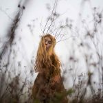 Juliana Rocha | Espaço Foto Contemporânea | Cursos de Fotografia e Arte | Rio de Janeiro | RJ