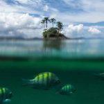 Leonardo Ramadinha | Espaço Foto Contemporânea | Cursos de Fotografia e Arte | Rio de Janeiro | RJ