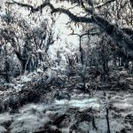 Naoni | Exposição de Fotografia e Arte no Rio de Janeiro | Espaço Foto Contemporânea Curso de Fotografia
