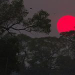 Gustavo Pedro | Fotografia de Natureza | Espaço Foto Contemporânea | Cursos de Fotografia e Arte | Rio de Janeiro | RJ