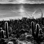 Marcello Cavalcanti | Fotografia de Paisagem | Espaço Foto Contemporânea | Cursos de Fotografia e Arte | Rio de Janeiro | RJ